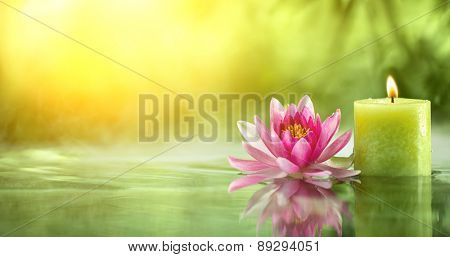Burning candle and water lily in water.