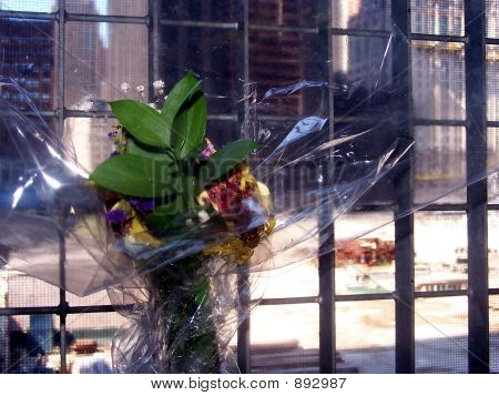 In Memorian