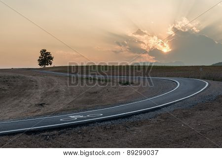 Bicycle Path In The Park