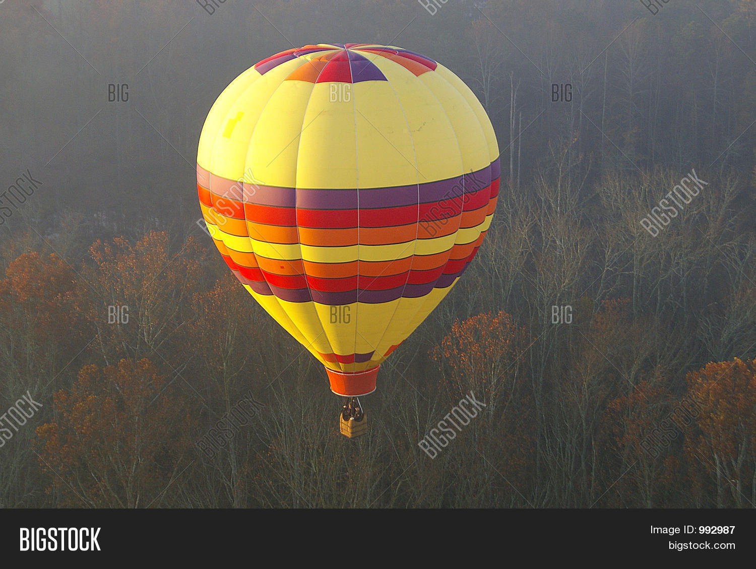 Image Preview