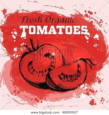 Hand drawn sketch style tomatoes