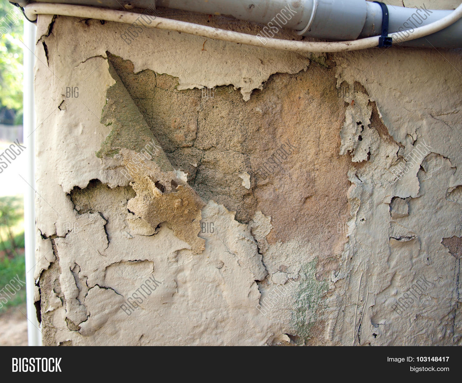 Peeling Exterior Paint Image & Photo (Free Trial) Bigstock