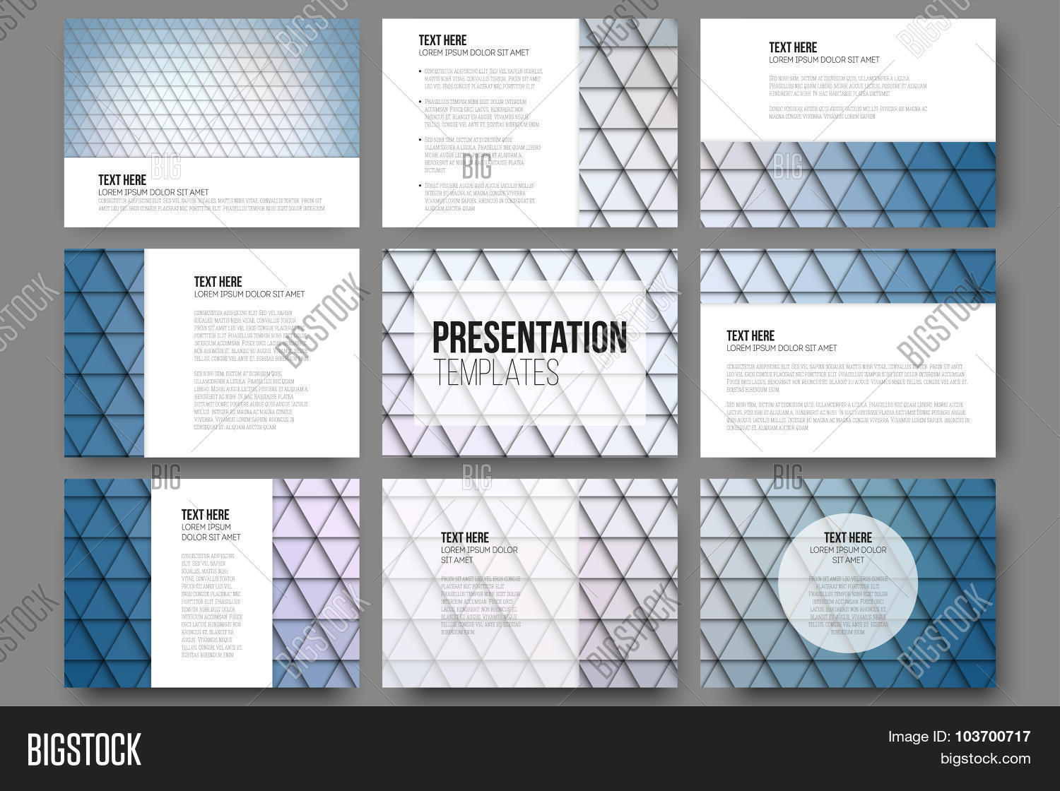 Set 9 Templates Vector & Photo (Free Trial) | Bigstock