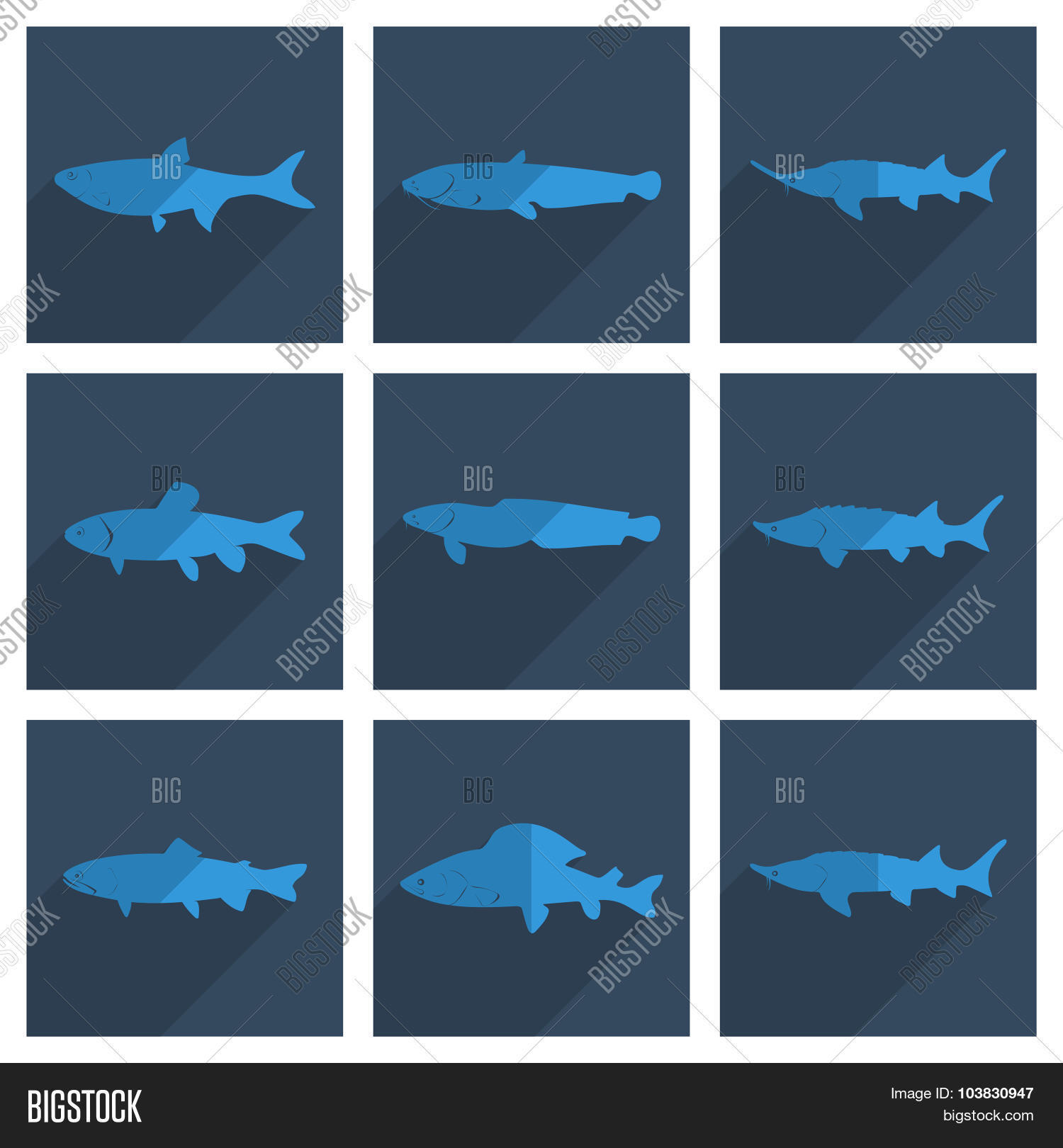 Fish Vector Overhead Set Freshwater Fish Vector & Photo (Free Trial) | Bigstock