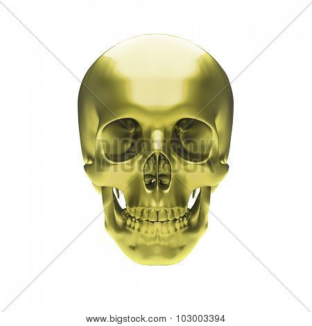 Gold metallic skull on white background