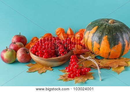 Colored Pumpkin On Aquamarine Shadowless Background