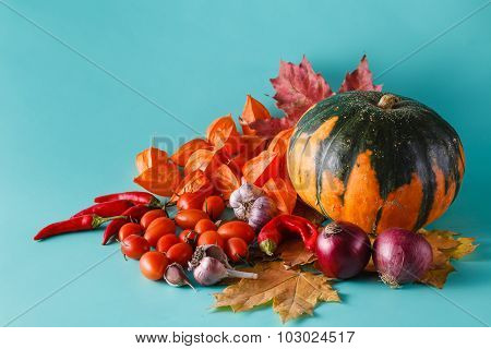 Colored Pumpkin Shadowless Background