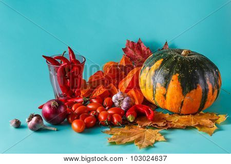 Colored Pumpkin And Fchili On Aquamarine Shadowless Background