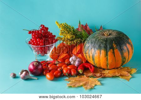 Colored Pumpkin And Viburnum On Aquamarine Shadowless Background