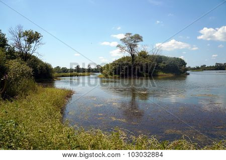 Island in Turtle Lake