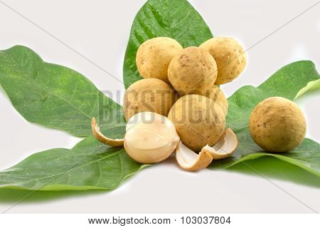 Longong Isolated On White Background
