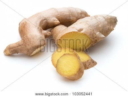 Fresh ginger root or rhizome isolated on white background cutout