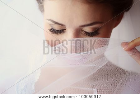 Beautiful Bride With White Veil Posing On Wedding Day