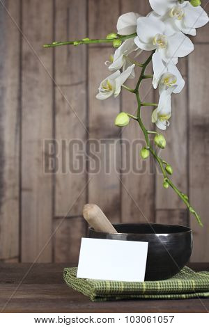 White orchid