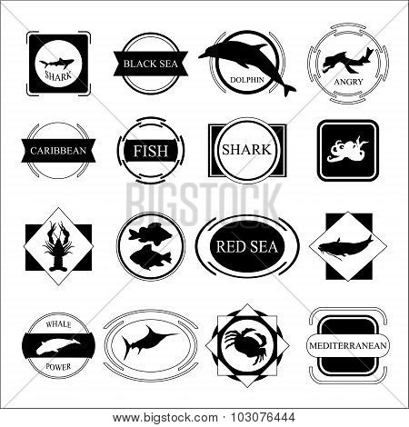 Set Of Sea. Fish Silhouette And Frame. Stock Vectir
