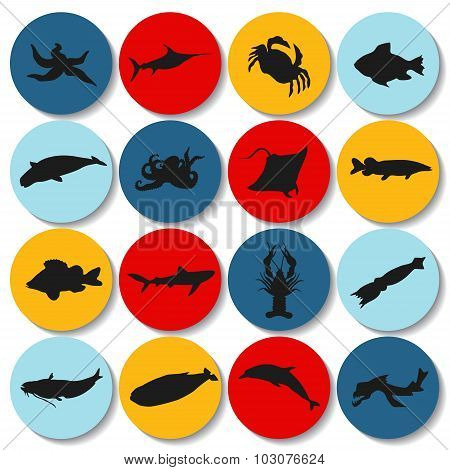 Set Of Fish Silhouette Icon. Stock Vector