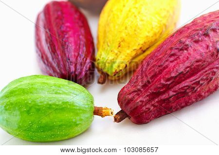 Different Sorts Of Colorful Cocoa Pods