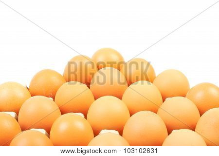 Eggs in box
