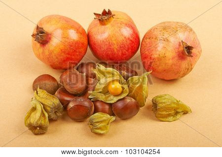 Pomegranate, physalis and chestnuts isolated on a beige backgrou
