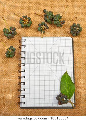 Notebook background on canvas with a backdrop of black pepper be