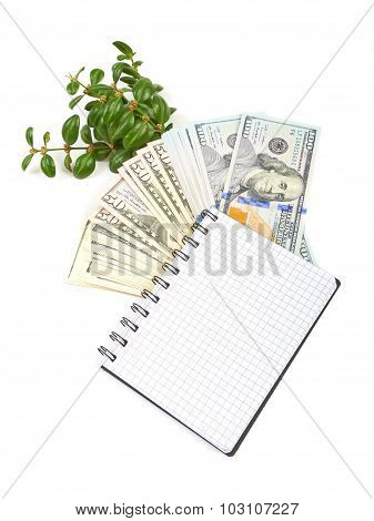 Hundred-dollar bills, a branch of green bushes and notebook on a
