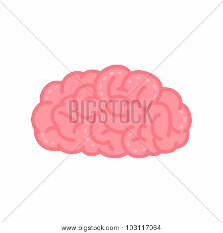 Pink Human Brain