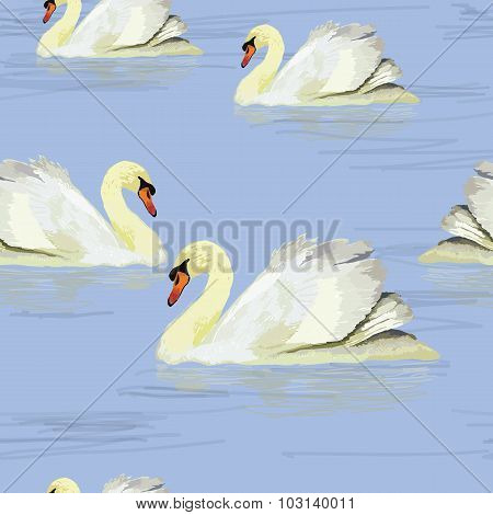 white swan in the water