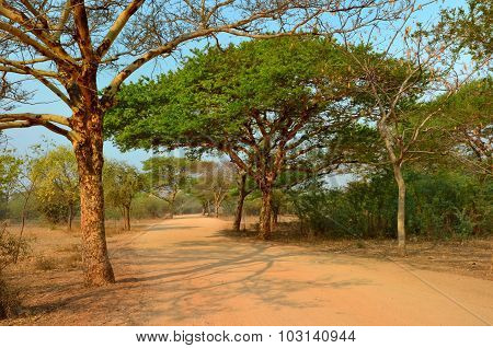 Road In Myanmar Birma Bagan