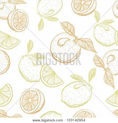 vector drawing pattern of citrus orange and lemon