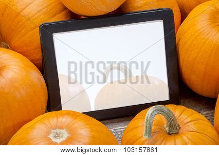blank digital tablet surrounded by pumpkins, Halloween or Thanksgiving decoration