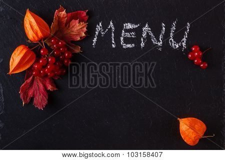 Red Viburnum On Black Slate Background With Message Menu