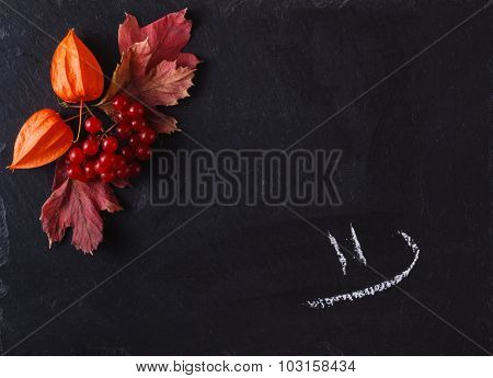 Red Viburnum On Black Slate Background With Message Menu