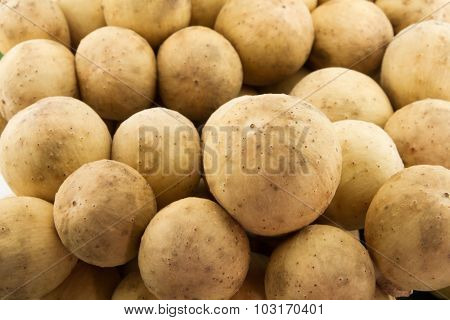 Longong Isolated On White Background
