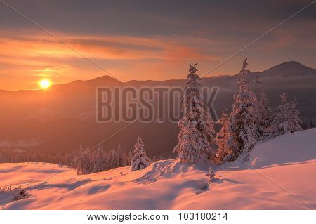 Fantastic orange evening landscape glowing by sunlight. Dramatic wintry scene with snowy trees. Kukul ridge, Carpathians, Ukraine, Europe. Merry Christmas!