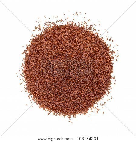 Organic Small Brown Mustard.