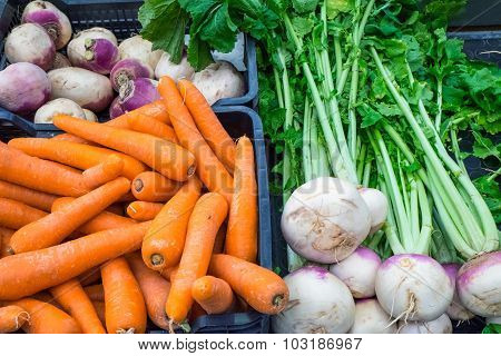 Carrots and other vegetables