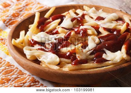 Traditional Canadian Fast Food Poutine With Sauce And Cheese