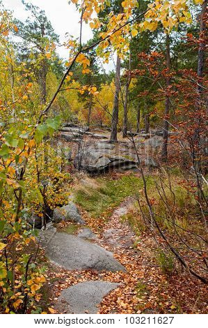 Autumn Forest On The Lake Arakul
