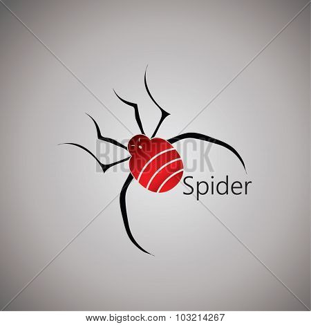 spider logo