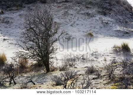 Dunes