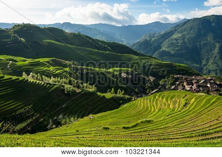 Longsheng rice terraces guilin china landscape