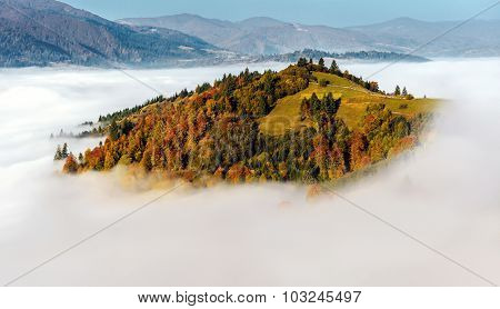 Autumn Landscape