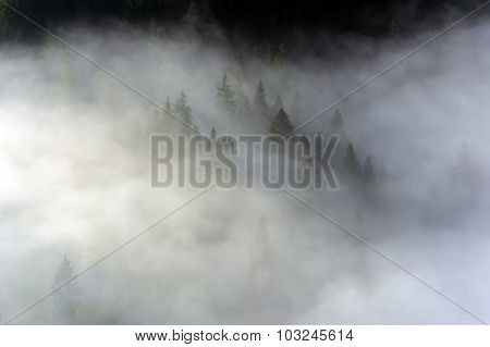 Autumn Landscape