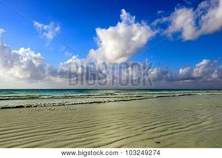 Beach Diani