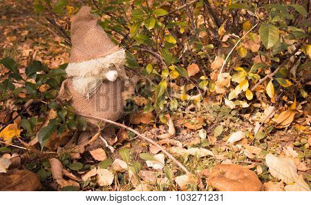 The Magic Little Man From A Sacking In The Autumn Wood On Fallen Leaves