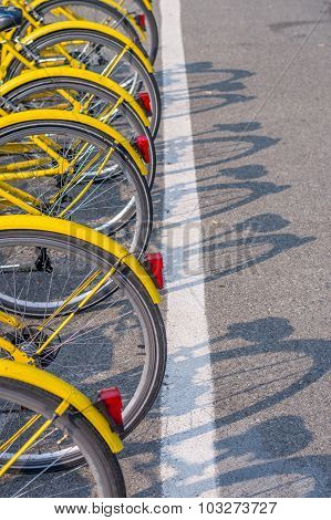 Bicycle Tires Lined Up