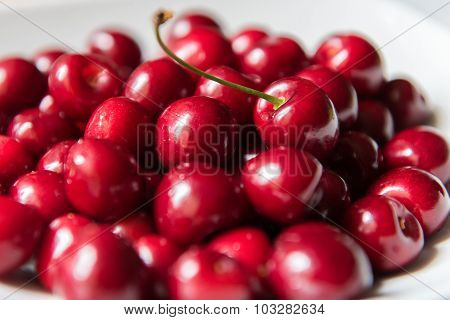 Bowl Of Red Fresh Cerries On A White Background