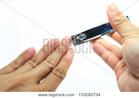 cutting the nails