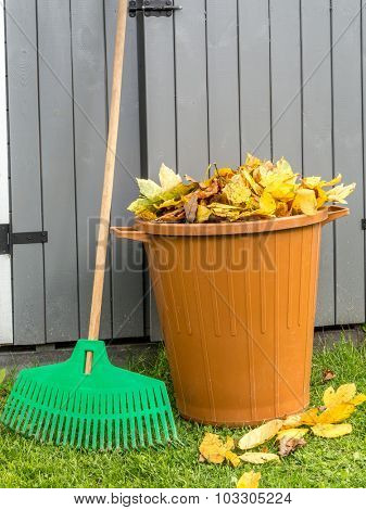 Pile of dead fall leaves swept and dumped into plastic bin with fan rake resting against wooden shed