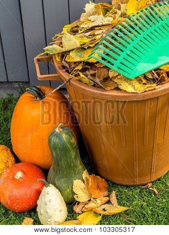 Pile of dead fall leaves dumped into plastic bin, pumpkins and fan rake resting on the bin